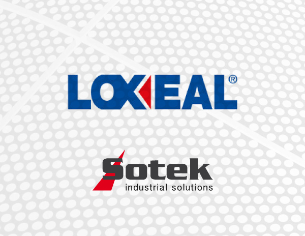 Loxeal EPOX