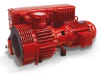 Vuototecnica RVP200